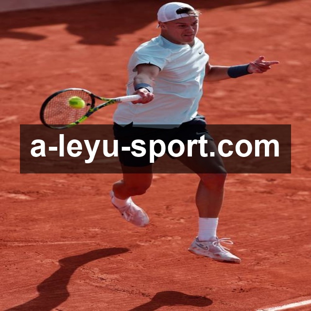 体育平台欢迎图