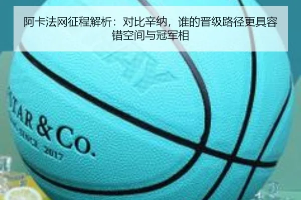 阿卡法网征程解析：对比辛纳，谁的晋级路径更具容错空间与冠军相